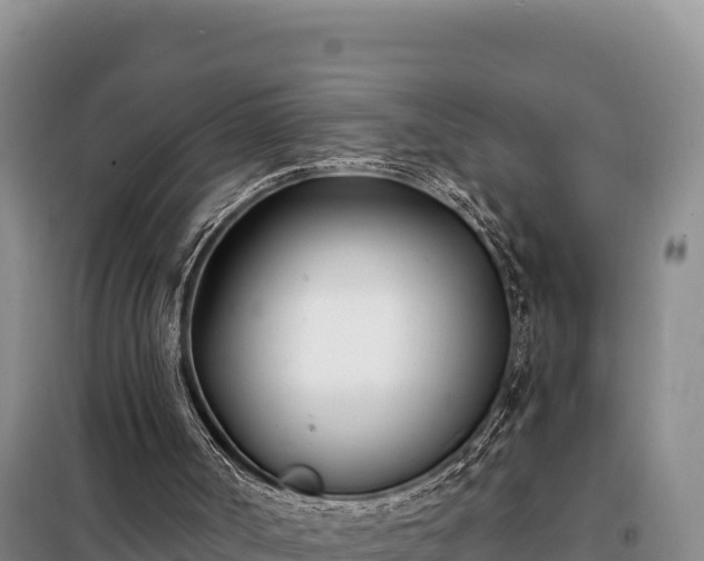 X0000099320002200805091052