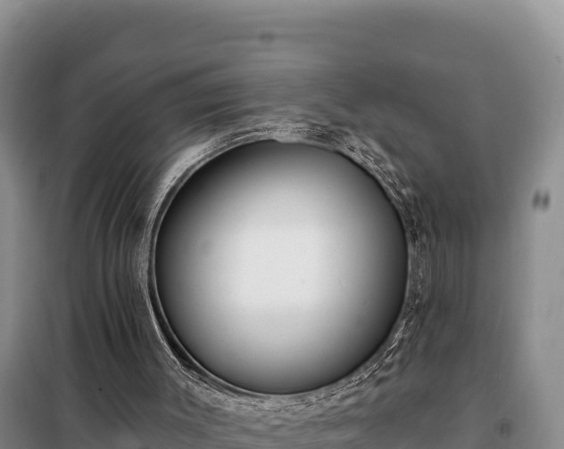 X0000099320003200805091052