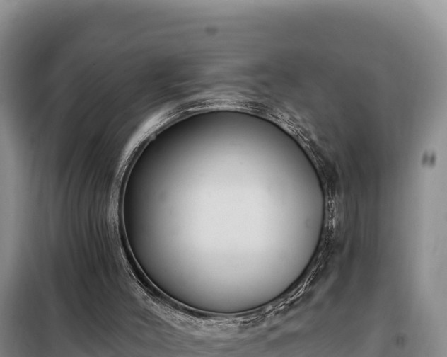 X0000099320004200805091052