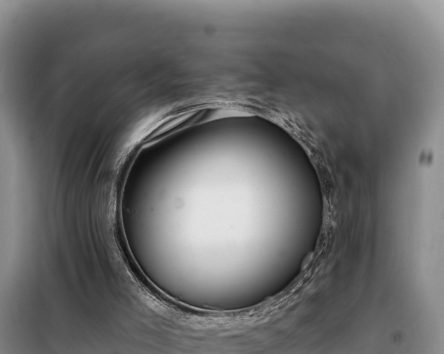 X0000099320005200805091052