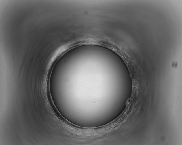 X0000099320006200805091052