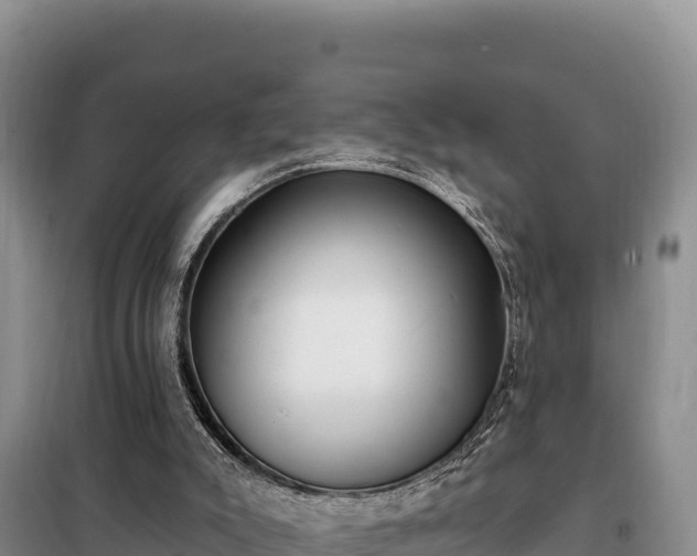 X0000099320007200805091052