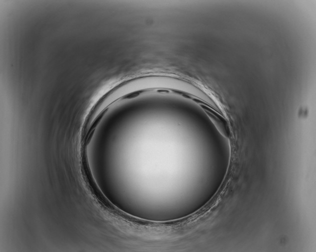 X0000099320008200805091052