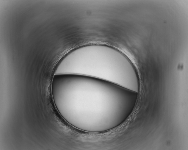 X0000099320009200805091052