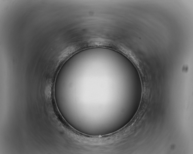 X0000099320010200805091052