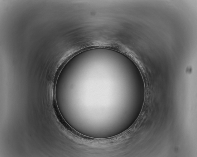 X0000099320011200805091052