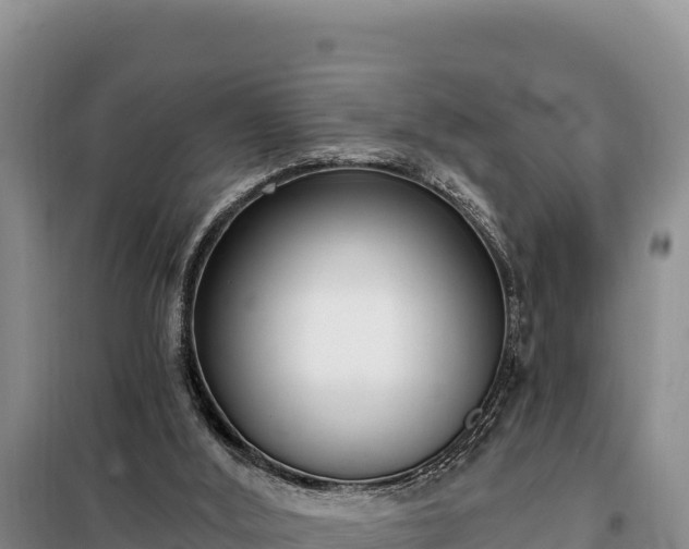 X0000099320012200805091052