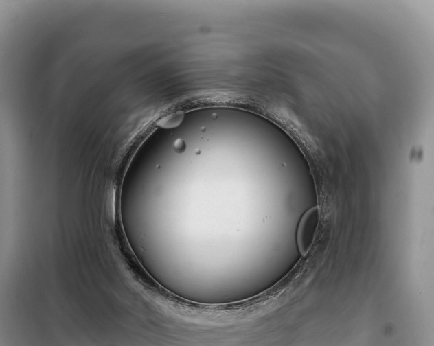 X0000099320014200805091052