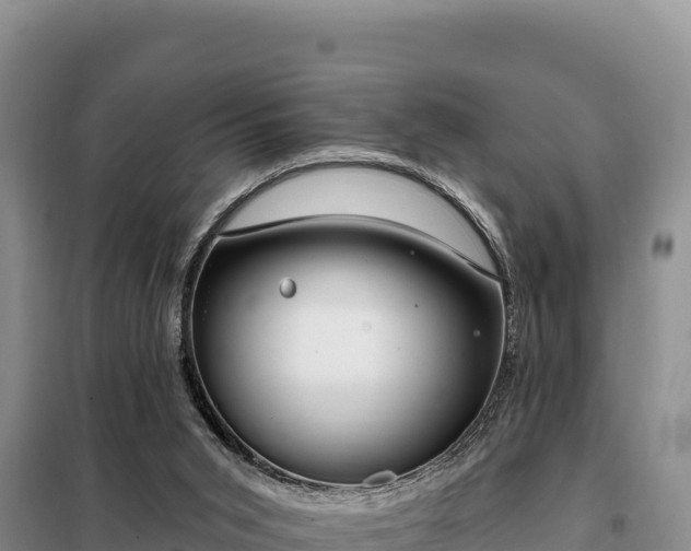 X0000099320015200805091052