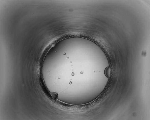 X0000099320016200805091052