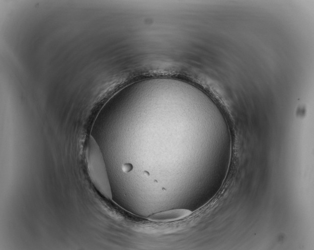 X0000099320017200805091052