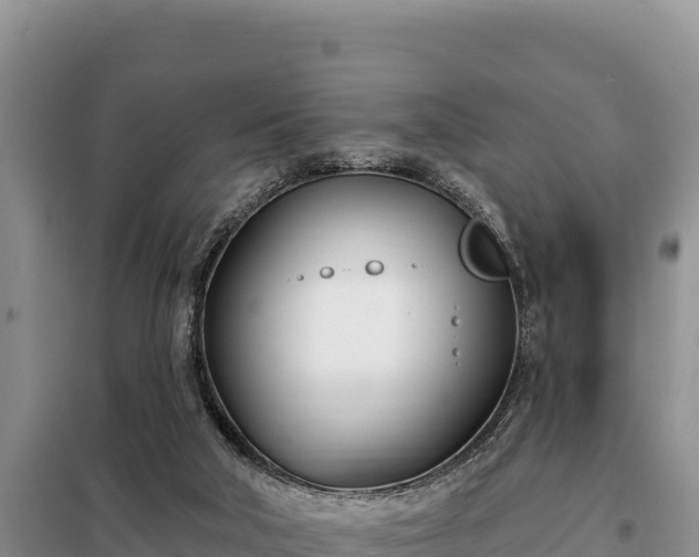 X0000099320018200805091052