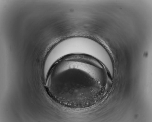 X0000099320019200805091052