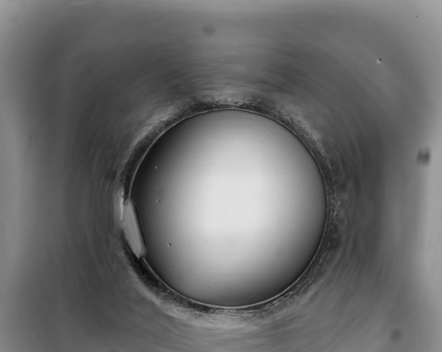 X0000099320020200805091052