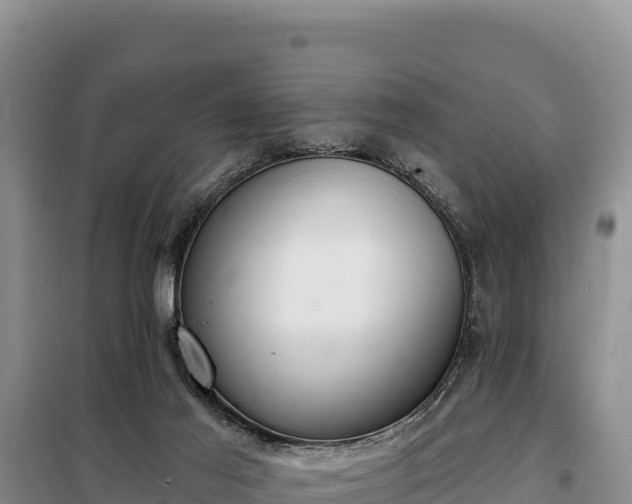 X0000099320021200805091052