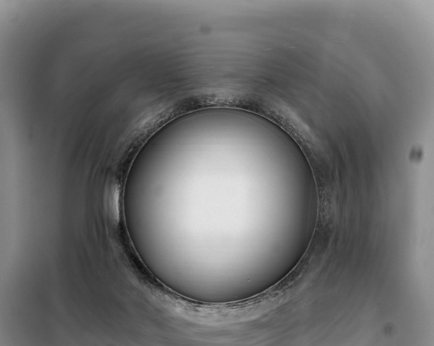 X0000099320022200805091052