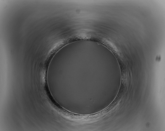 X0000099320023200805091052