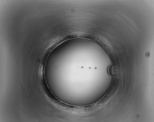 X0000099320024200805091052