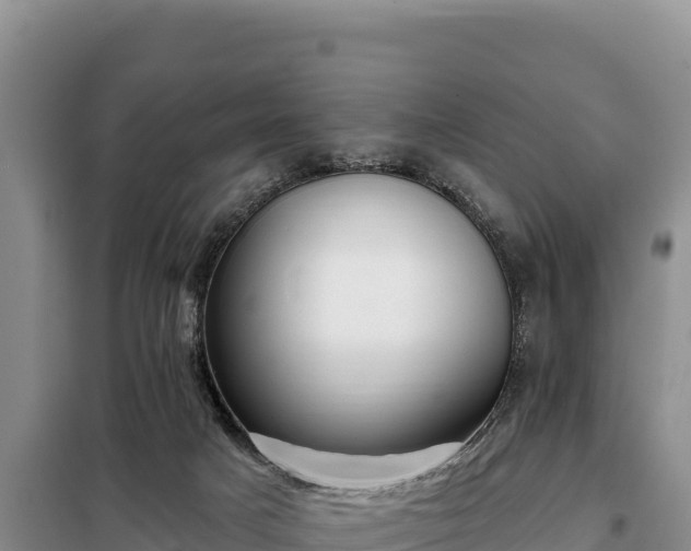 X0000099320025200805091052