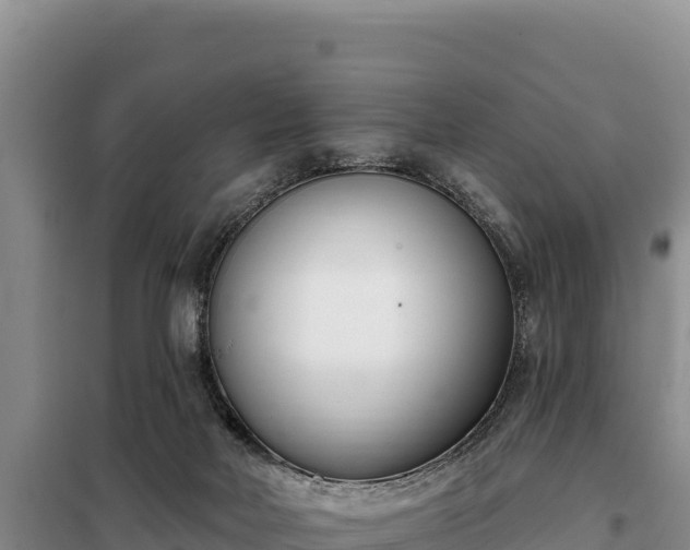 X0000099320026200805091052