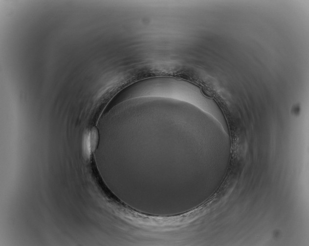 X0000099320027200805091051