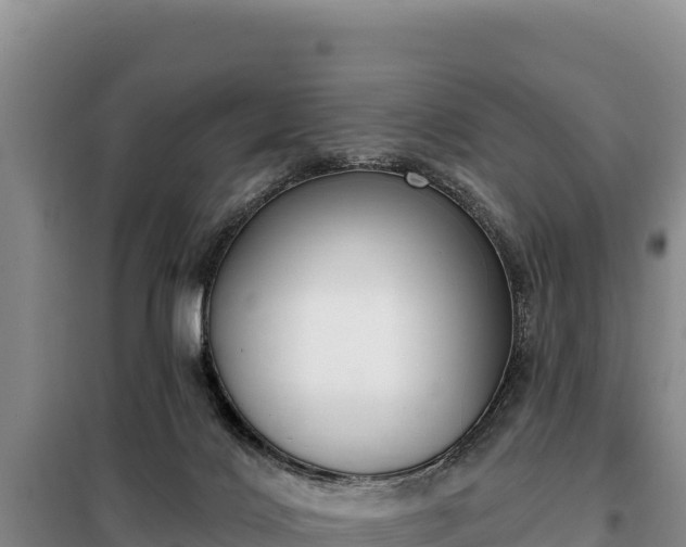 X0000099320028200805091051