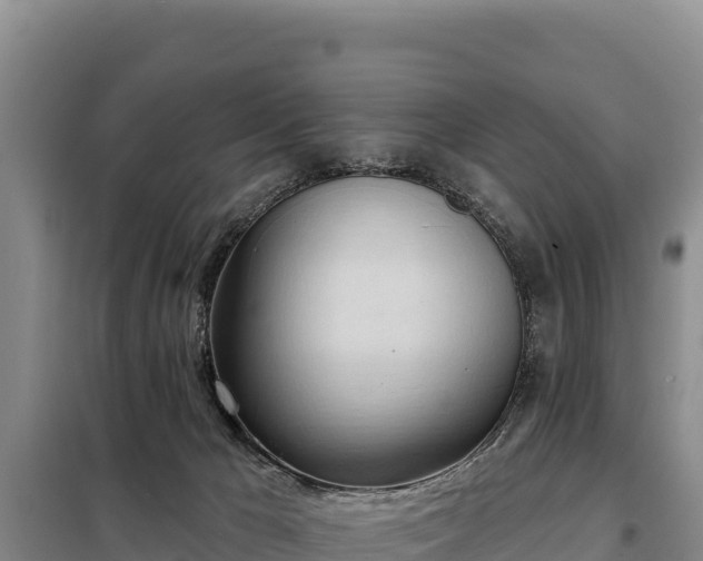 X0000099320029200805091051