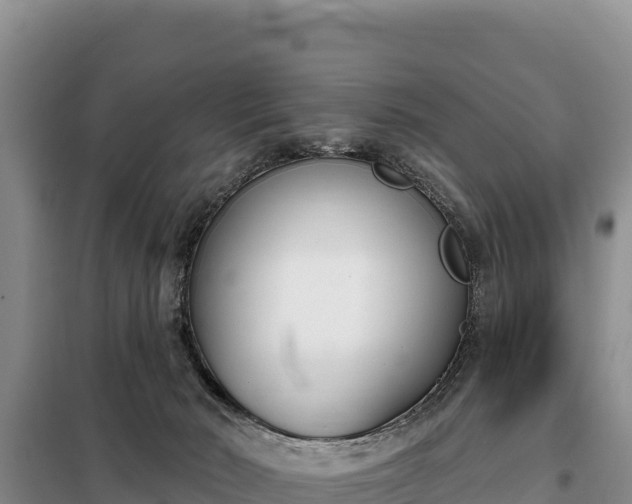 X0000099320030200805091051