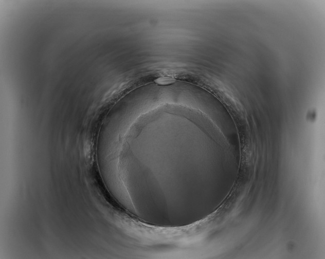 X0000099320031200805091051