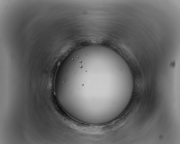 X0000099320032200805091051