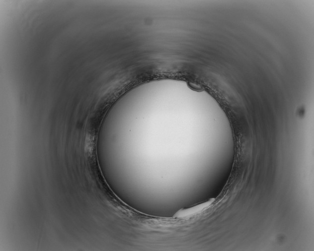 X0000099320033200805091051