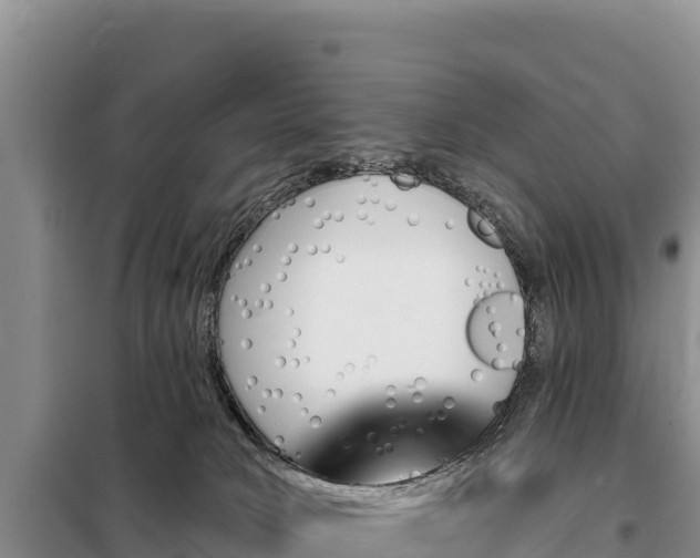 X0000099320034200805091051