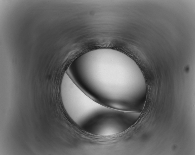 X0000099320035200805091051