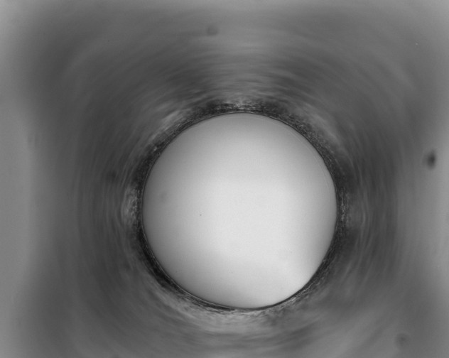 X0000099320036200805091051