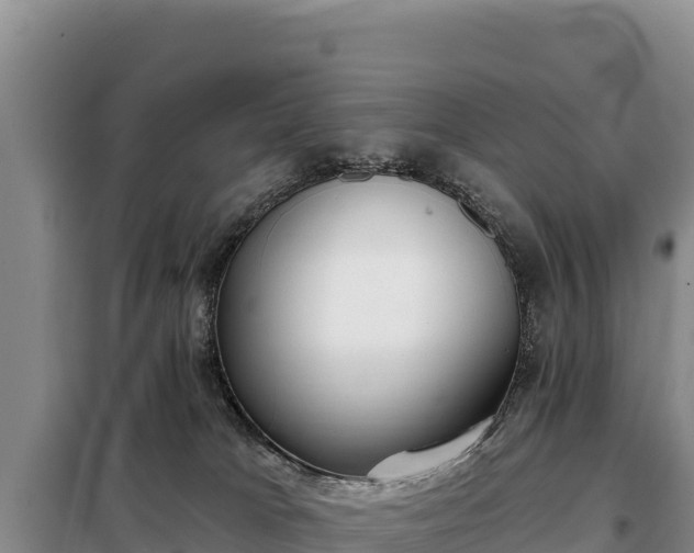 X0000099320037200805091051