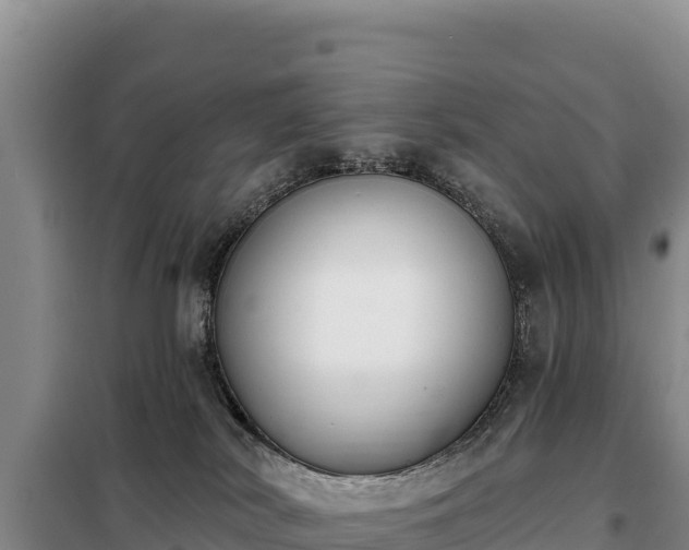 X0000099320038200805091051