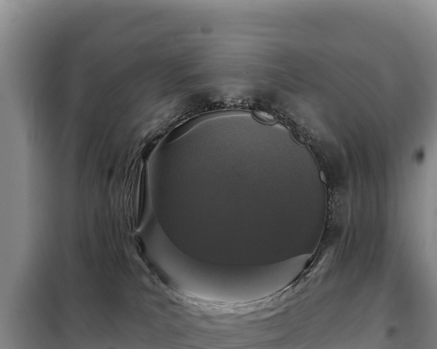 X0000099320039200805091051