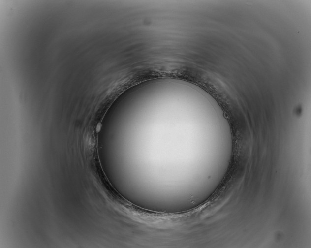 X0000099320040200805091051