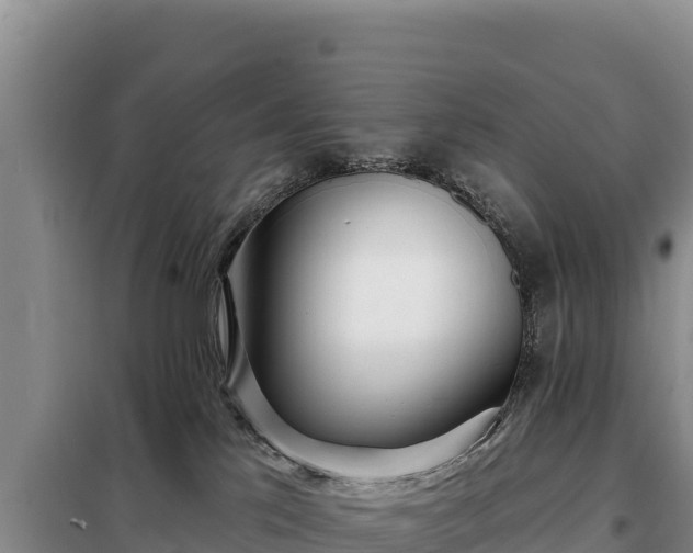 X0000099320041200805091051