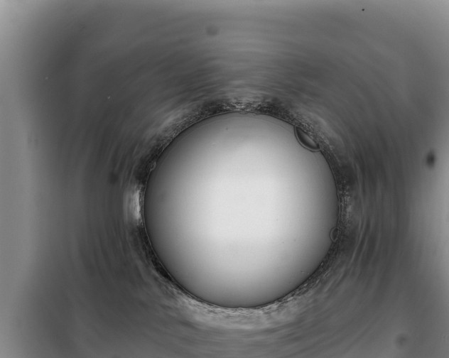 X0000099320042200805091051