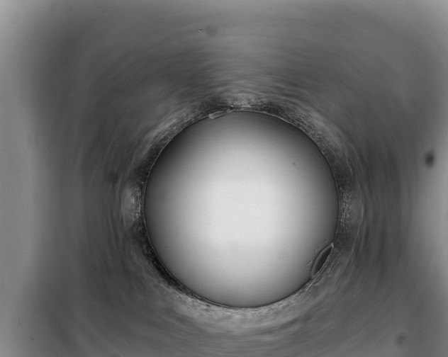 X0000099320043200805091051