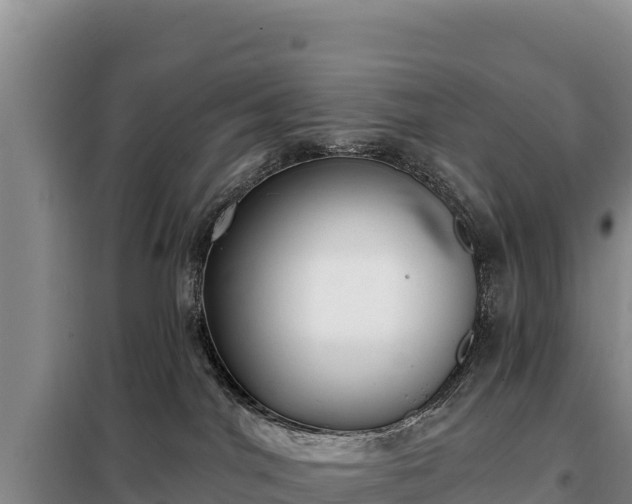 X0000099320044200805091051