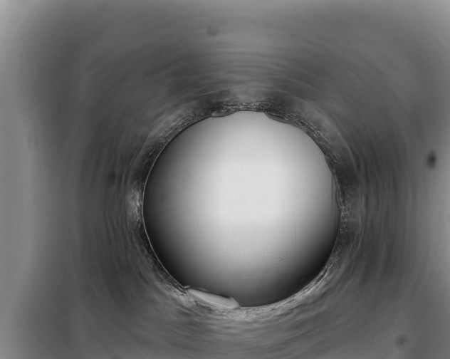 X0000099320045200805091051