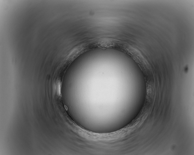 X0000099320046200805091051