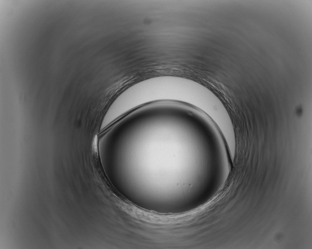 X0000099320047200805091051