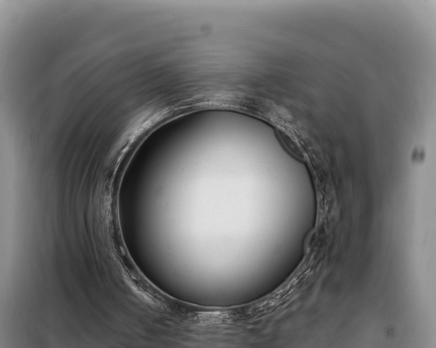 X0000099320050200805091051