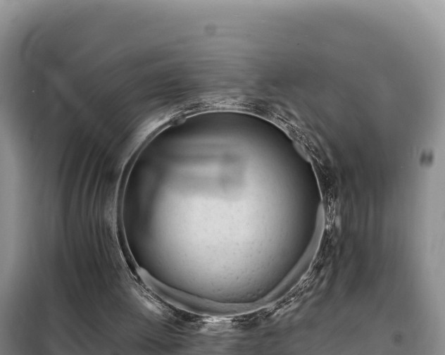 X0000099320052200805091051