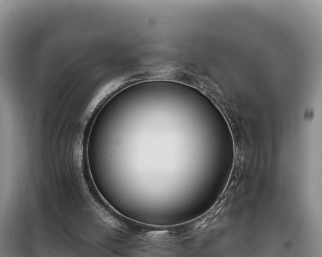 X0000099320054200805091051