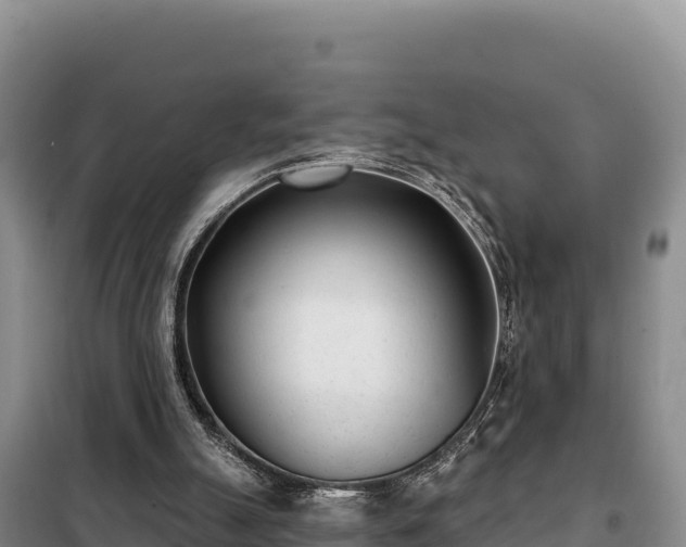 X0000099320055200805091051