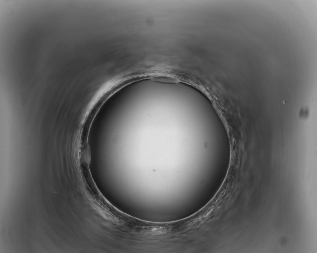 X0000099320056200805091051